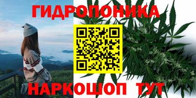 гашик Камышлов