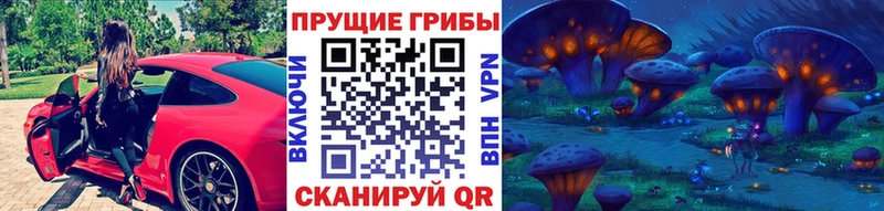 мега маркетплейс  Сыктывкар  Псилоцибиновые грибы GOLDEN TEACHER 