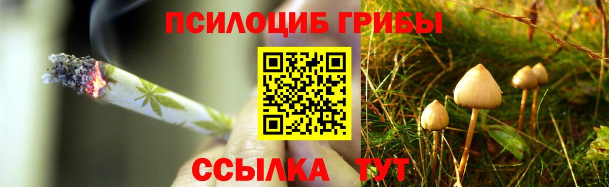 Псилоцибиновые грибы прущие грибы  Галлюциногенные грибы мицелий  Сыктывкар 
