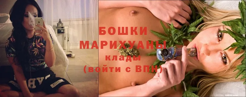 купить наркотики цена  Сыктывкар  МАРИХУАНА SATIVA & INDICA 